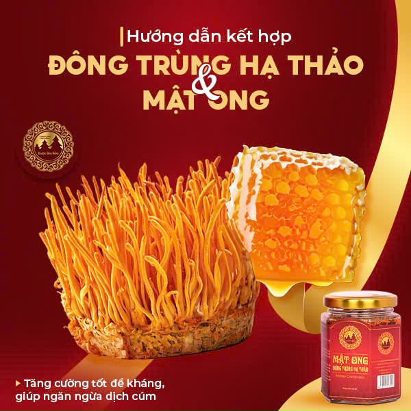 cach ket hop dong trung ha thao va mat ong