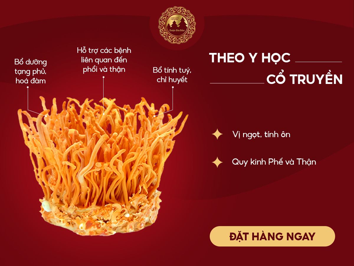 cong nghe nuoi cay dong trung ha thao nhan tao