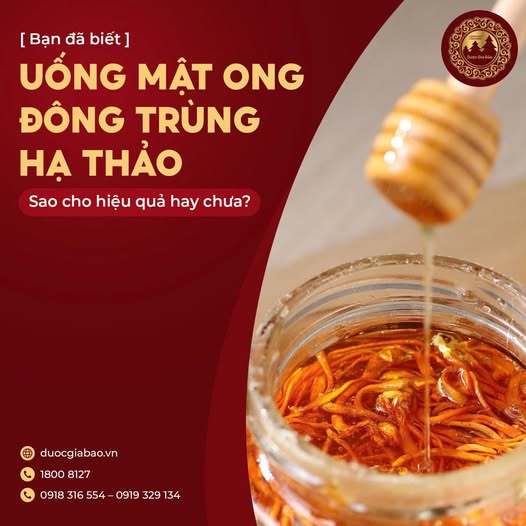 cach ket hop dong trung ha thao va mat ong