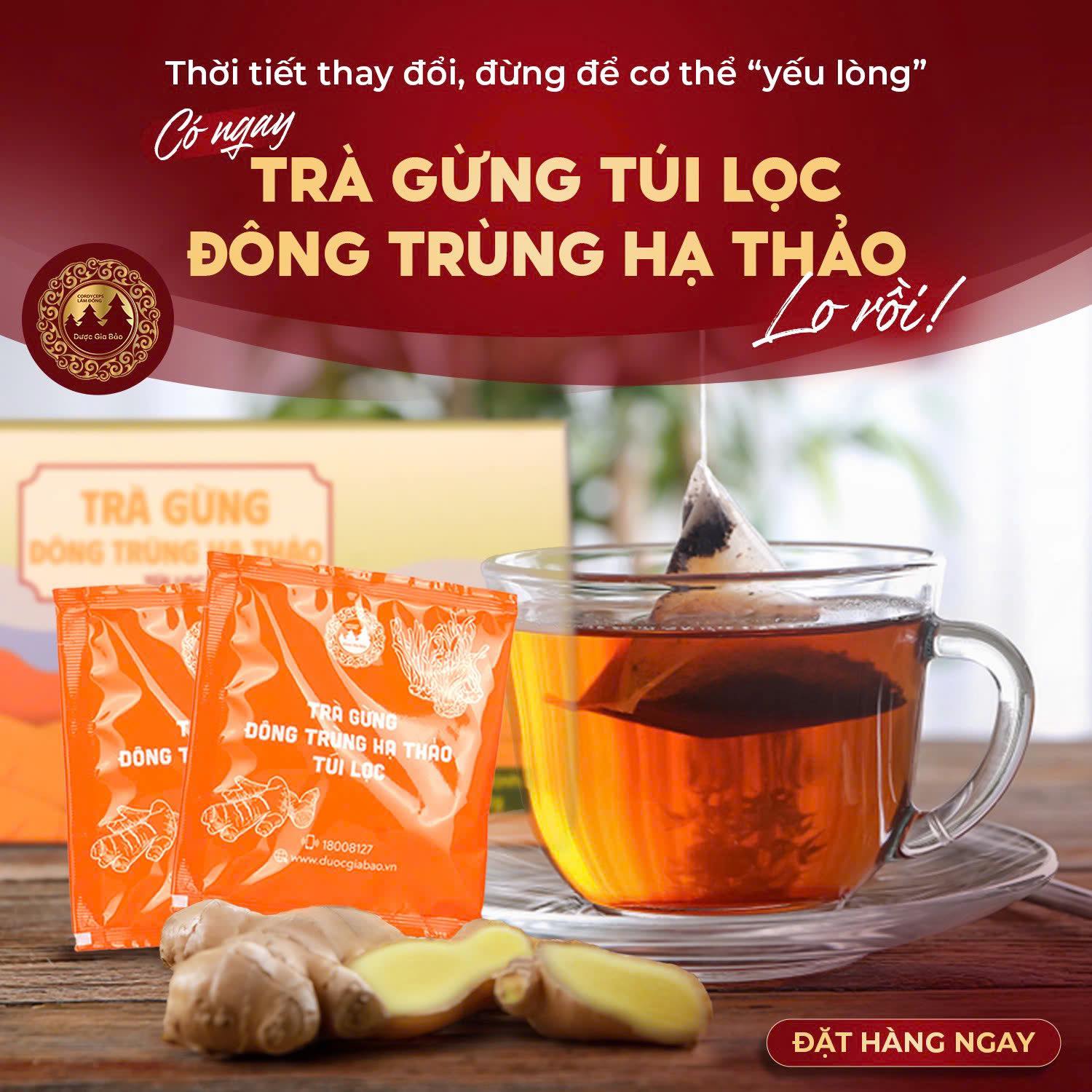 tra gung dong trung ha thao tui loc