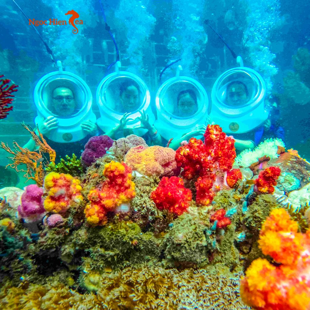 Đi bộ dưới biển Phú Quốc: Khám phá đại dương kỳ thú với Ngọc Hiền Sea