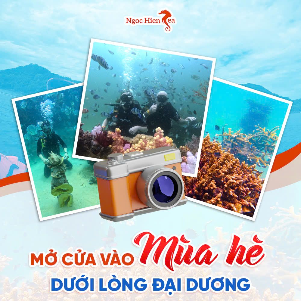 Những Câu Hỏi Thường Gặp Về Đi Bộ Dưới Đáy Biển Phú Quốc