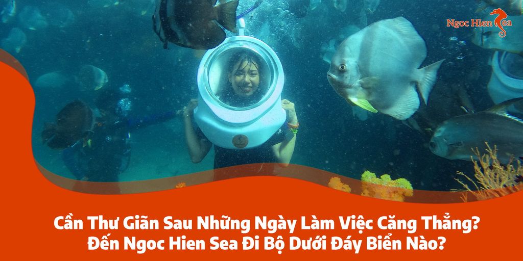 Cần Thư Giãn Sau Những Ngày Làm Việc Căng Thẳng? Đến Ngoc Hien Sea Đi Bộ Dưới Đáy Biển Nào?