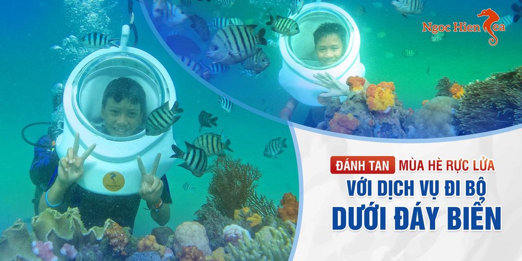 Đánh Tan Mùa Hè Rực Lửa Với Dịch Vụ Đi Bộ Dưới Đáy Biển