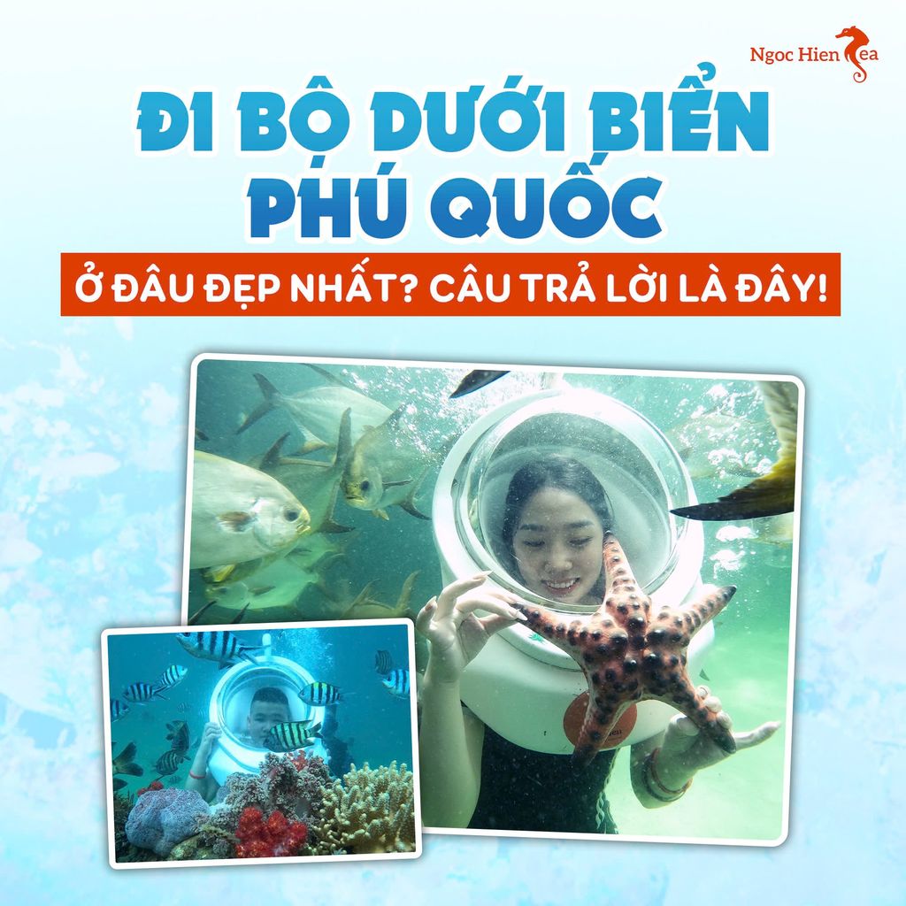 Giá Vé Đi Bộ Dưới Đáy Biển Phú Quốc Có Xứng Đáng?