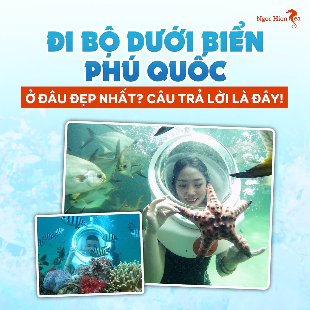 Tour Đi Bộ Dưới Biển Đảo Ngọc Khám Phá Thế Giới Dưới Nước