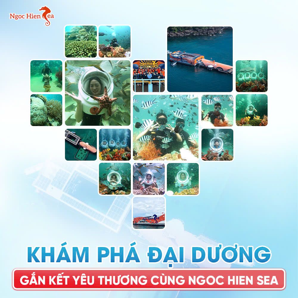 Tour Đi Bộ Dưới Biển Đảo Ngọc: Khám Phá Cá Lớn, Rùa Biển, San Hô