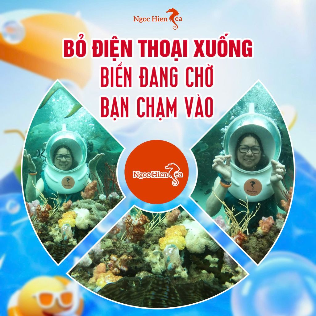 Tour Đi Bộ Dưới Biển Đảo Ngọc: Có Gì Hấp Dẫn Mà Ai Cũng Muốn Thử?