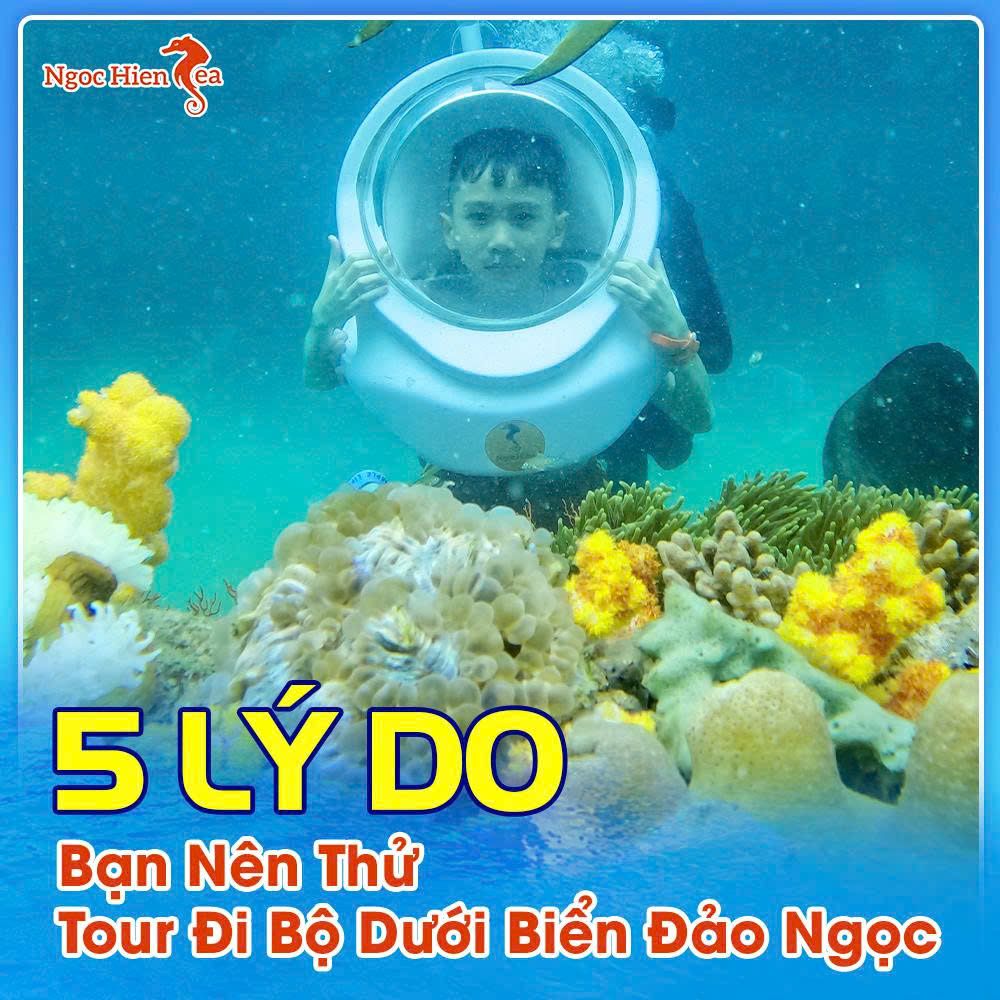 5 Lưu Ý Quan Trọng Khi Đi Bộ Dưới Biển Phú Quốc Lần Đầu