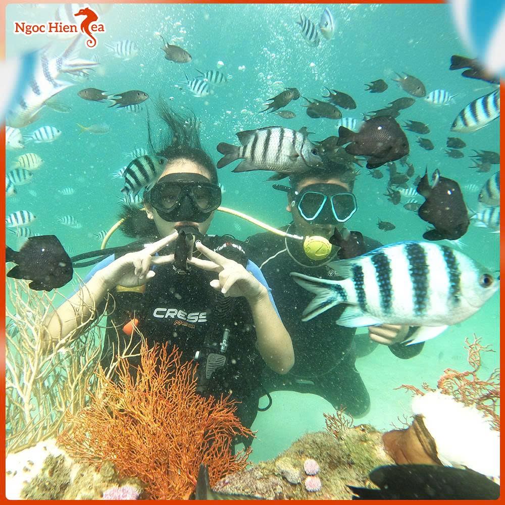 Đi Bộ Dưới Biển Đảo Ngọc: Chọn Tour Nào Đáng Tiền?
