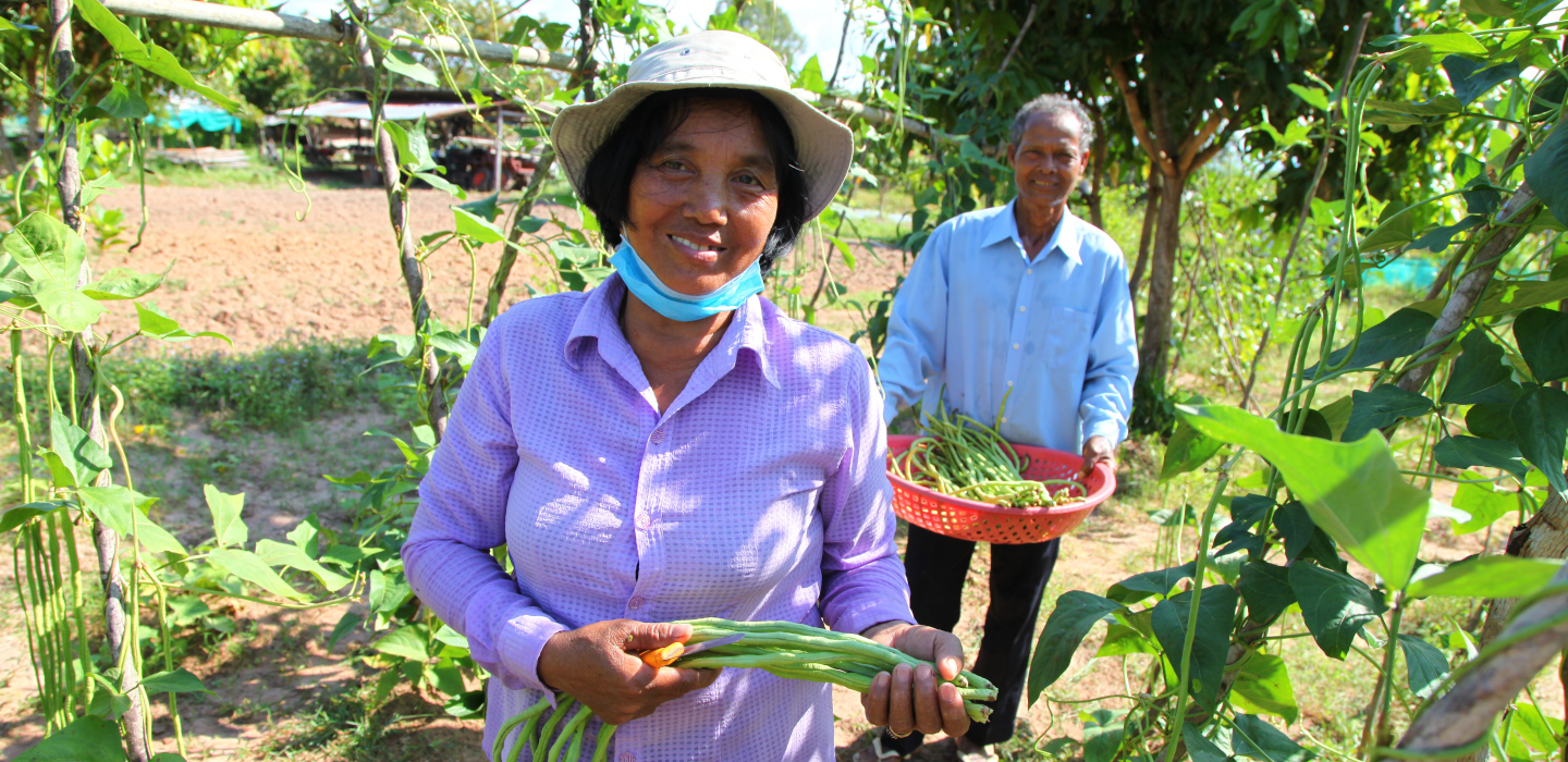 HacoFarm Agriculture Covid 19