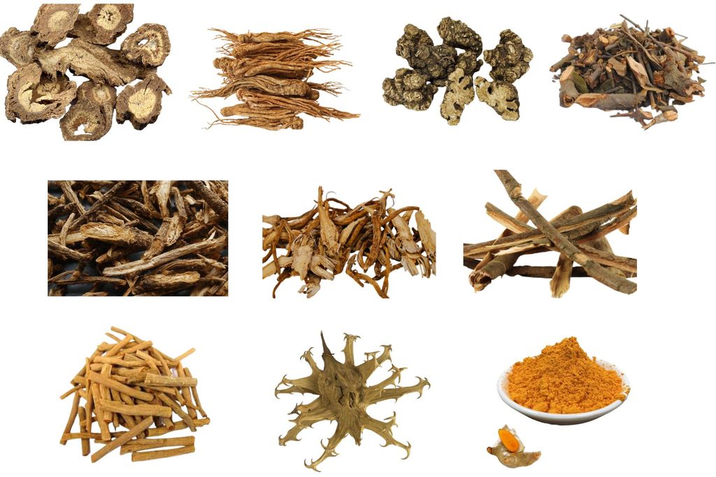 10 CÂY THUỐC ĐÔNG Y NỔI TIẾNG TRONG ĐIỀU TRỊ BỆNH XƯƠNG KHỚP