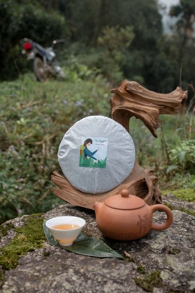 Trà shan tuyết là loại trà đặc sản của vùng miền núi Tây Bắc và Đông Bắc Việt Nam. Trà shan tuyết được làm từ những cây trà cổ thụ to lớn, có tuổi đời hàng trăm năm. Cây trà shan tuyết có lá to, búp trắng muốt như tuyết, thường mọc ở độ cao trên 1000 mét.