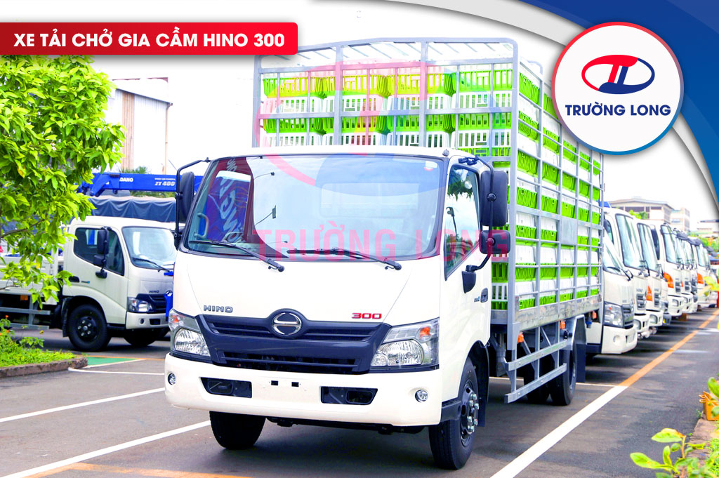 Xe tải chở gia cầm Hino 300
