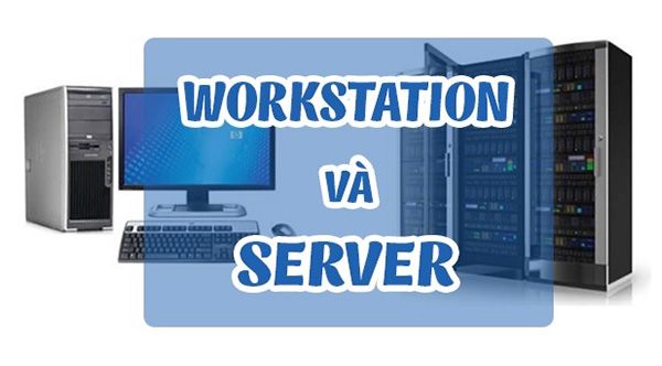Máy trạm - Server: Điểm khác biệt và hướng dẫn lựa chọn