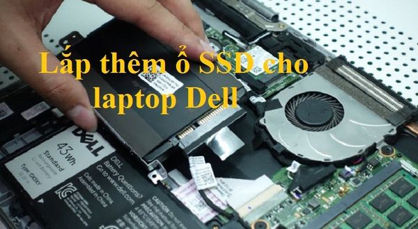 lắp thêm ổ cứng SSD cho laptop dell