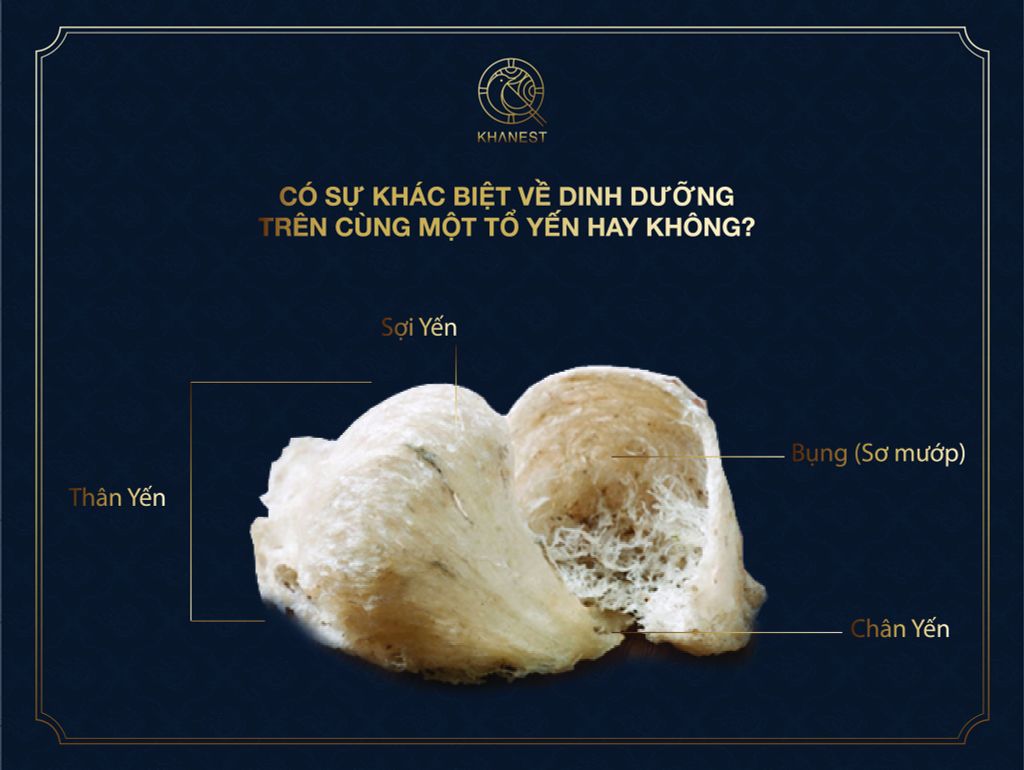 CÓ SỰ KHÁC BIỆT VỀ DINH DƯỠNG TRÊN CÙNG MỘT TỔ YẾN HAY KHÔNG?
