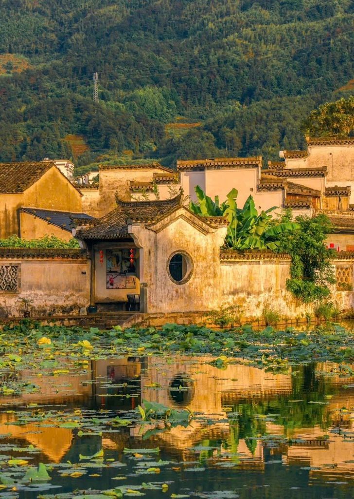 Lạc vào mối tương tư với