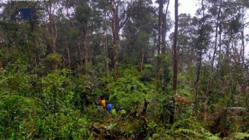 LIST DANH SÁCH TOUR TREKKING KHÔNG ĐI PHÍ CẢ THANH XUÂN