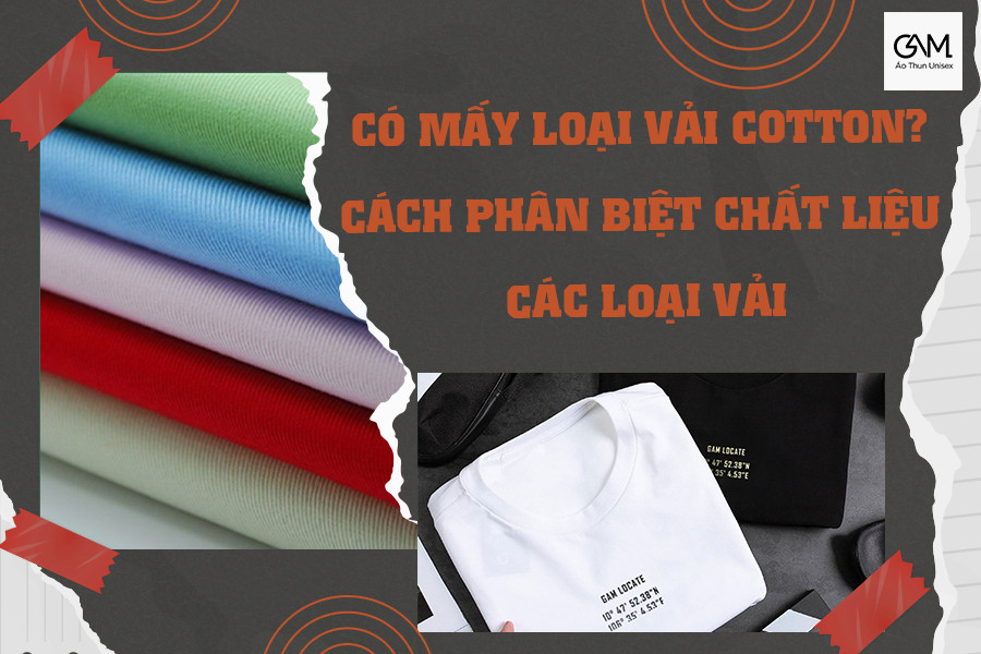 Vải cotton là gì? có mấy loại vải cotton? cách phân biệt sợi vải cotton?