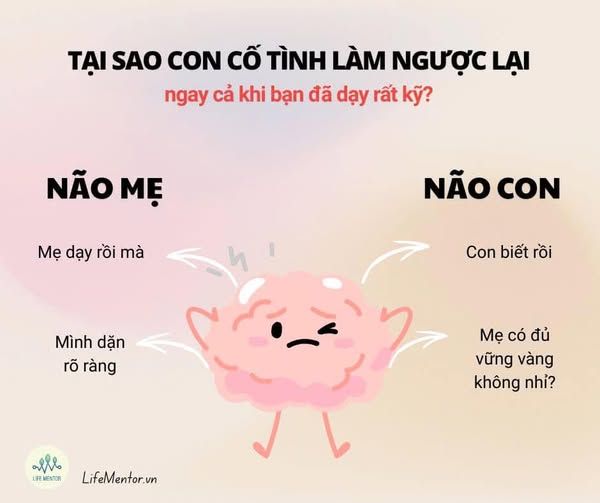 TẠI SAO CON CỐ TÌNH LÀM NGƯỢC LẠI, NGAY CẢ KHI BẠN ĐÃ DẠY RẤT KỸ?
