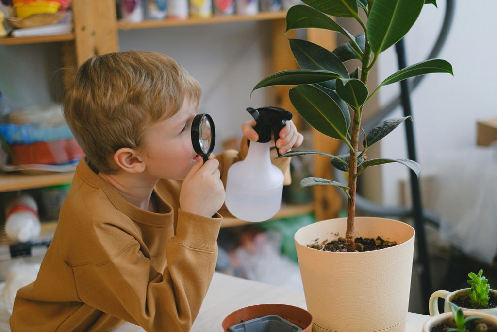 WORLD SCHOOLING - THẾ GIỚI LÀ TRƯỜNG HỌC