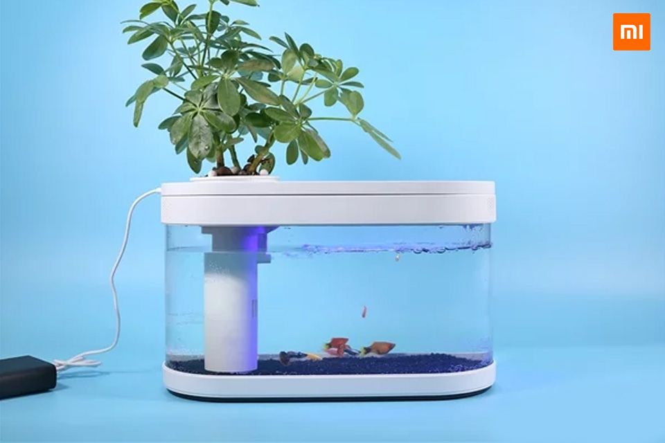 Xiaomi ra mắt bể cá thông minh sử dụng điện và không cần thay nước thường xuyên với giá chỉ khoảng 1 triệu đồng