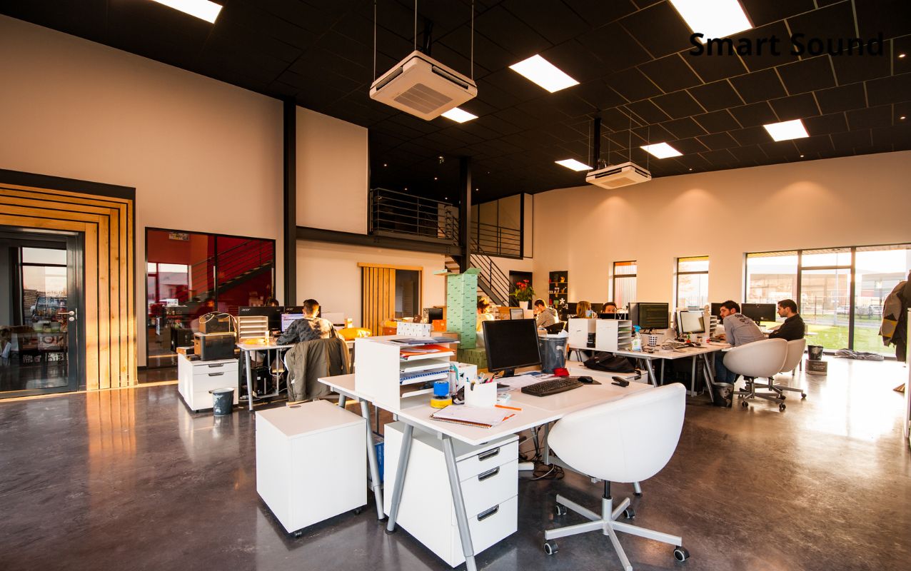 hệ thống âm thanh văn phòng smart Sound