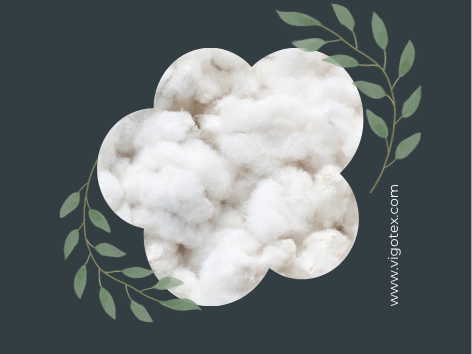 COTTON& FIBER