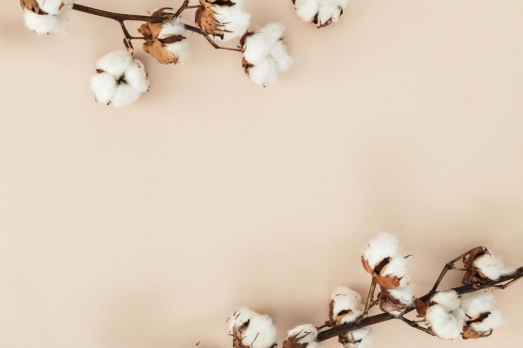 Cotton was lower Wednesday