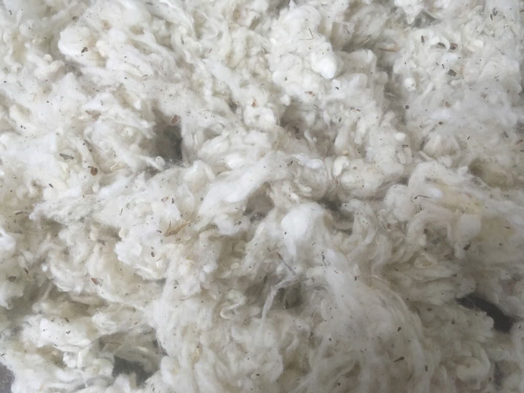 Fiber Length