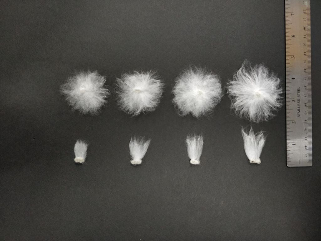 Fiber Length