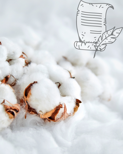 Vigotex - Cotton News 06/10/2022
