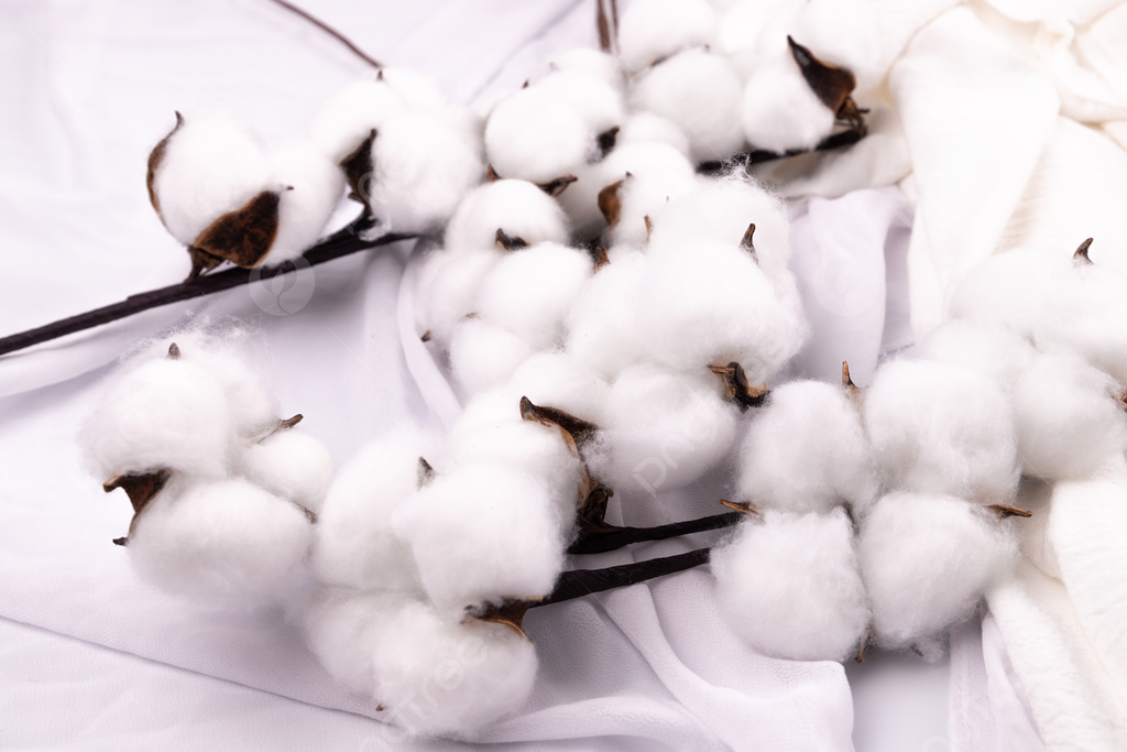 The cotton market was lower Tuesday as the month of February concluded.