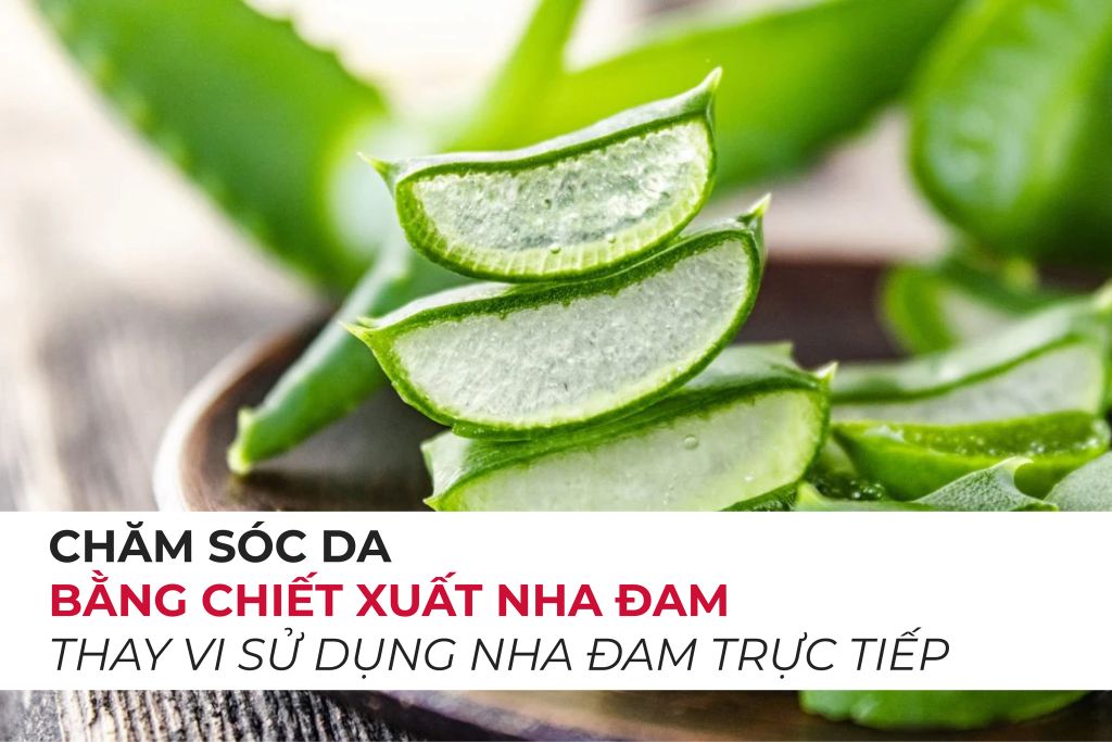 Tại sao nên chăm sóc da bằng chiết xuất nha đam thay vì sử dụng nha đam trực tiếp