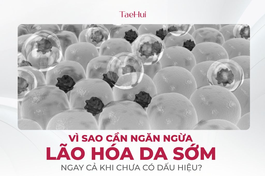 Tại sao cần ngăn ngừa lão hóa da từ sớm, thậm chí khi chưa có dấu hiệu nào xuất hiện?