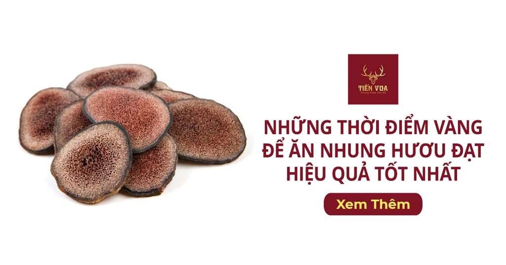 Những Thời Điểm Vàng Để Ăn Nhung Hươu Đạt Hiệu Quả Tốt Nhất
