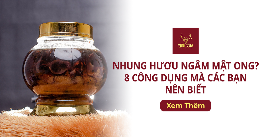 Nhung Hươu Ngâm Mật Ong? 8 Công Dụng Mà Các Bạn Nên Biết