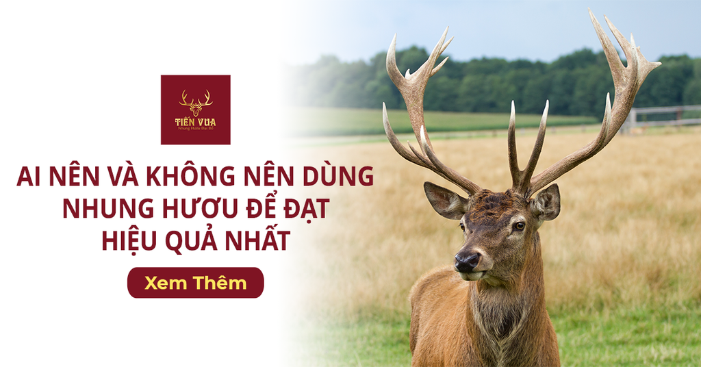 Ai Nên Và Không Nên Dùng Nhung Hươu Để Đạt Hiệu Quả Nhất