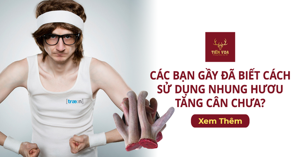 Các Bạn Gầy Đã Biết Cách Sử Dụng Nhung Hươu Tăng Cân Chưa?