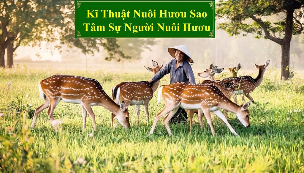 KĨ THUẬT NUÔI HƯƠU SAO - TÂM SỰ NGƯỜI NUÔI HƯƠU