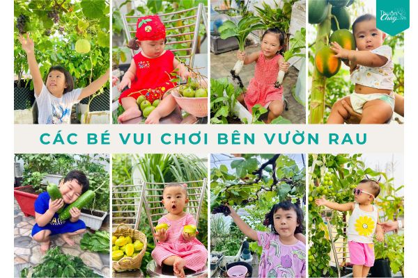 Những bạn rau xanh vườn nhà