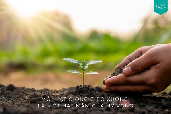 Những bạn rau xanh vườn nhà