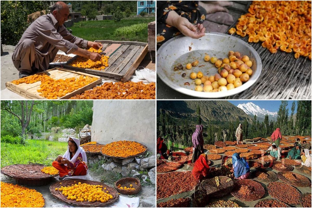 Bộ tộc ăn chay Hunzas