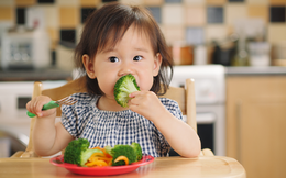 So sánh 3 phương pháp ăn dặm phổ biến nhất cho trẻ hiện nay