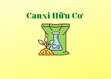 Bạn đã biết đến canxi hữu cơ dda chưa?