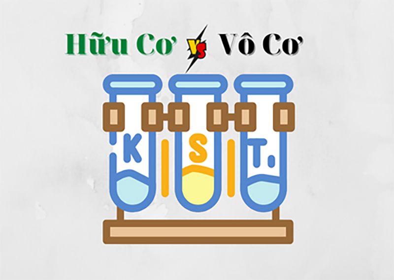 So sánh canxi hữu cơ và canxi vô cơ loại nào tốt hơn?