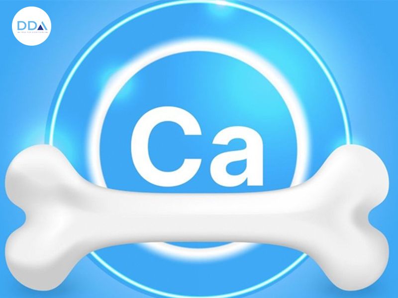Hướng dẫn cách bổ sung canxi an toàn, hiệu quả giúp cơ thể khỏe mạnh