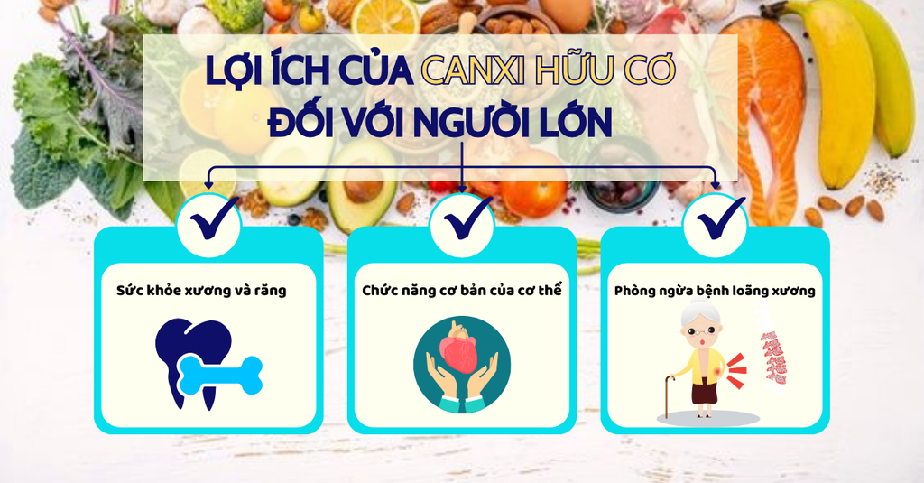 Lợi ích và những điều cần thiết về canxi hữu cơ cho người lớn