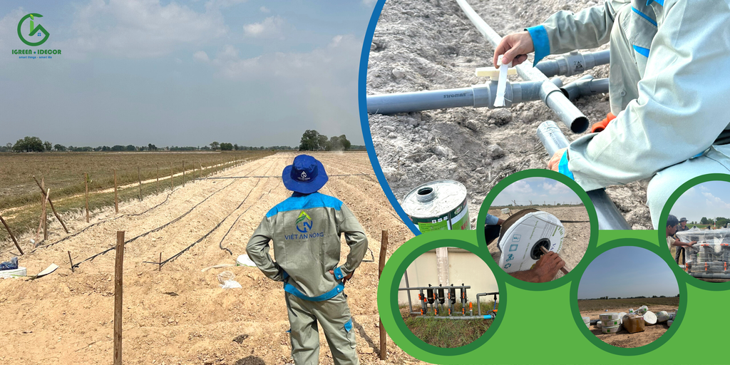 Lắp đặt hệ thống lọc cho cánh đồng thuốc lá 20ha